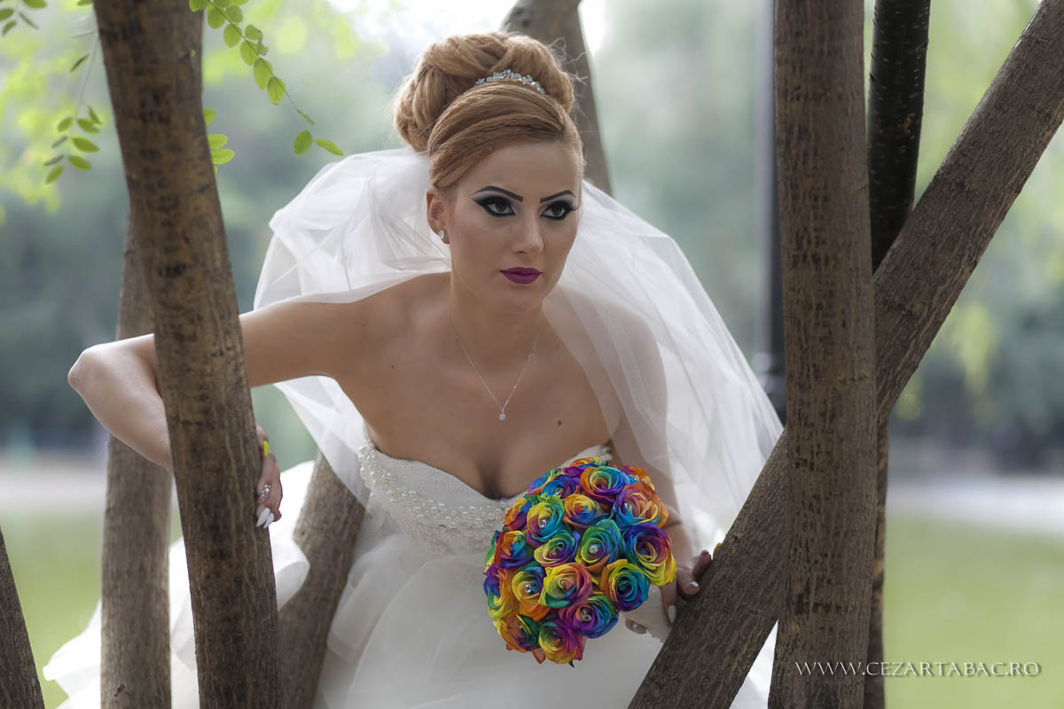 Nuntă Plină de Căldură Irina & Dragoș — București - Cadrul 17 fotograf Cezar Tabac București