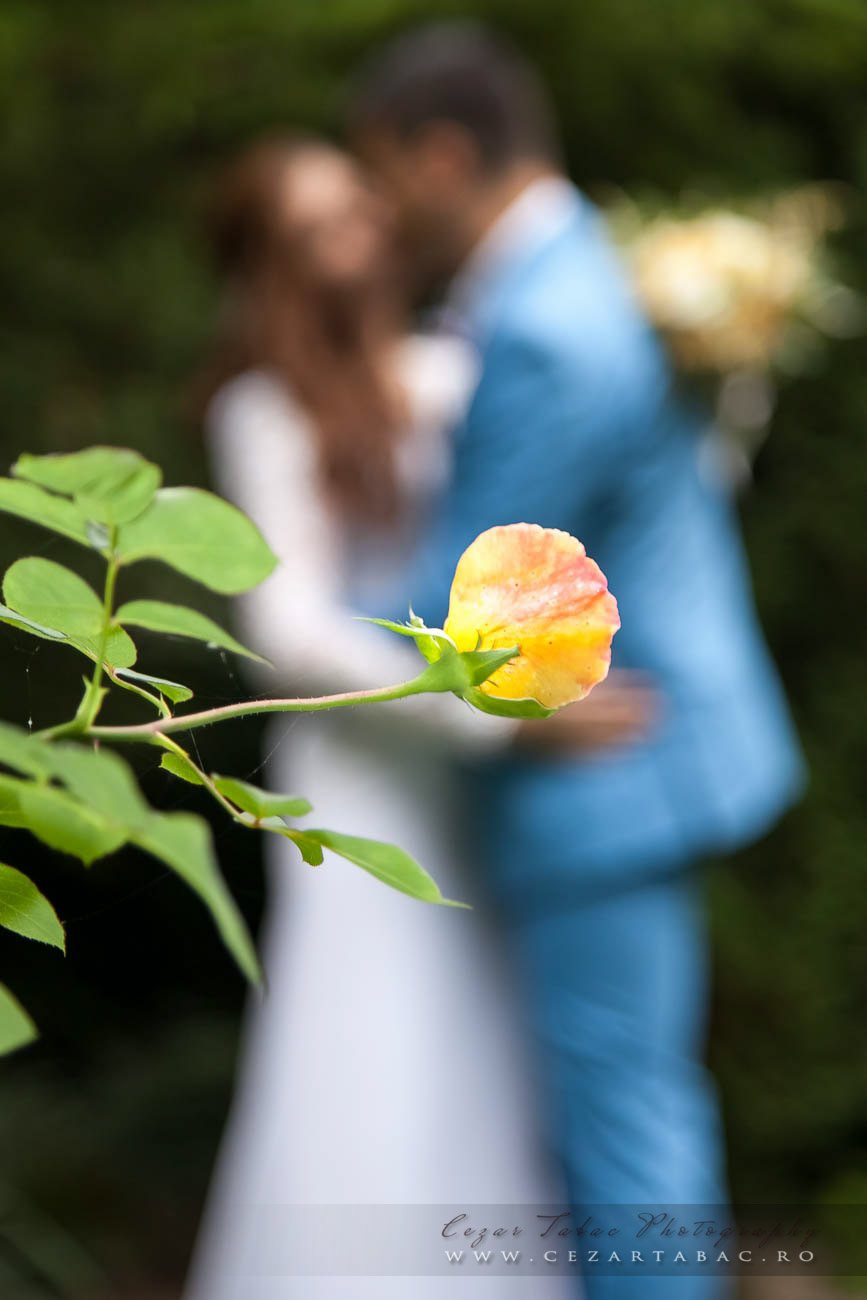 Nuntă Completă Mirela & Liviu — De la Pregătiri la Petrecere - Cadrul 52 fotograf Cezar Tabac București